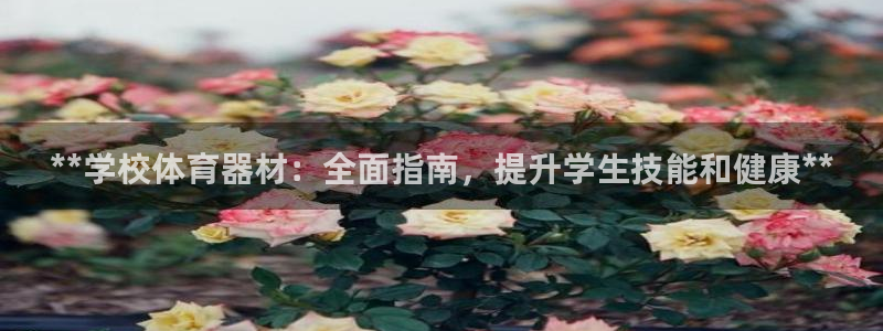 富联娱乐平台能挣到钱吗现在：**学校体育器材：全面指