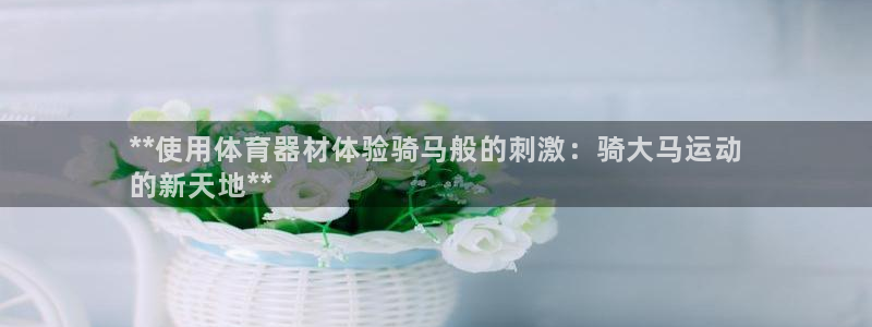 富联官网登陆：**使用体育器材体验骑马般的刺激：骑大
