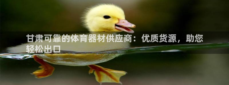 富联智能科技学院：甘肃可靠的体育器材供应商：优质货源