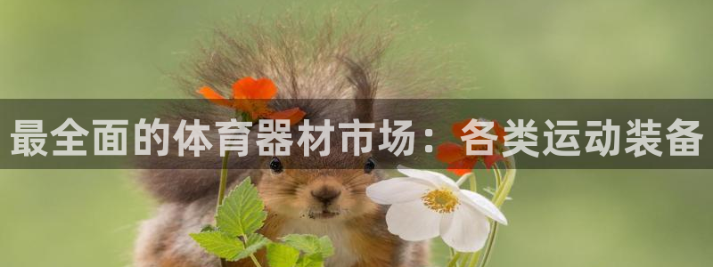 富联娱乐够7O777：最全面的体育器材市场：各类运动