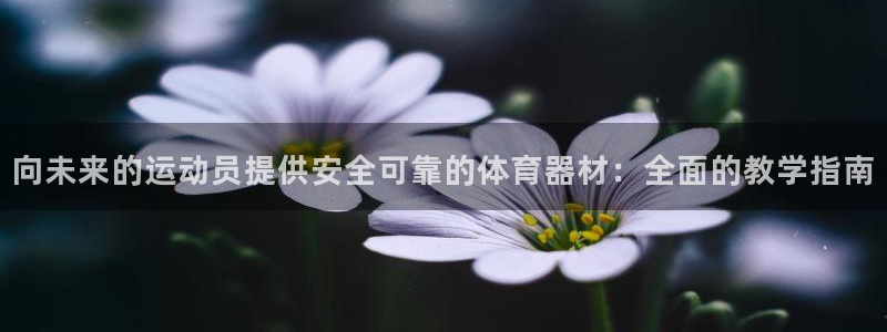 富联平台李 411O31 富联：向未来的运动员提供安