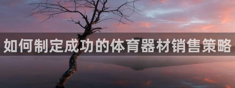 富联平台登录注册不了：如何制定成功的体育器材销售策略