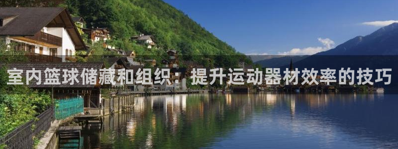 富联娱乐口 411O31 娱乐：室内篮球储藏和组织：