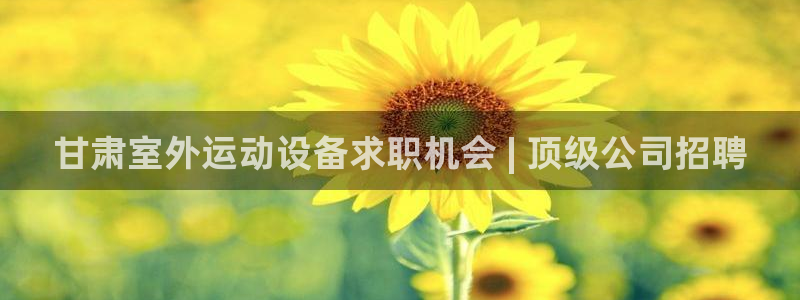 富联娱乐在线注册链接怎么弄的：甘肃室外运动设备求职机