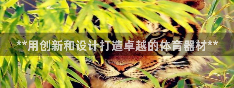 富联平台挂机怎么操作：**用创新和设计打造卓越的体育