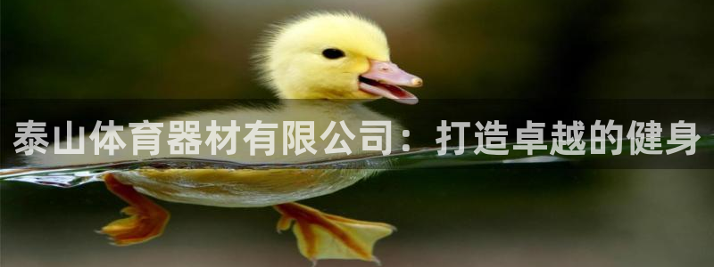 富联娱乐服务站：泰山体育器材有限公司：打造卓越的健身