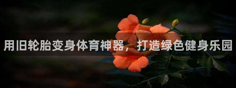 富联平台挂机：用旧轮胎变身体育神器，打造绿色健身乐园
