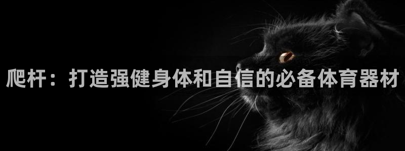 富联平台搜索 585.34I 平台：爬杆：打造强健身