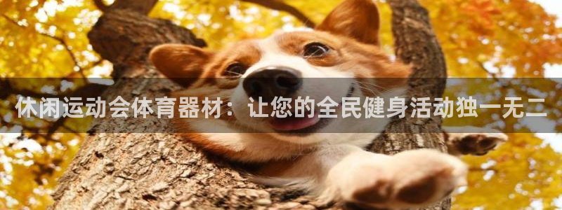 富联平台线路检测中心怎么样：休闲运动会体育器材：让您