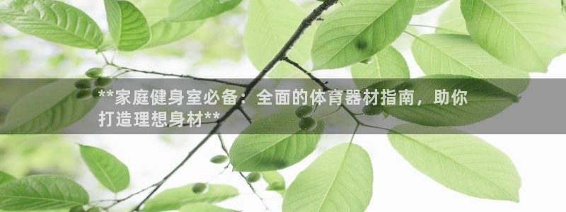 富联物业：**家庭健身室必备：全面的体育器材指南，助