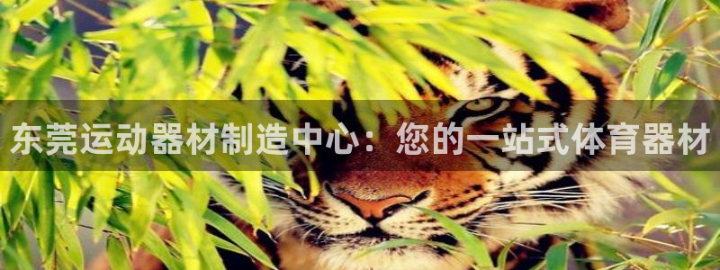 富联娱乐测速登录失败：东莞运动器材制造中心：您的一站