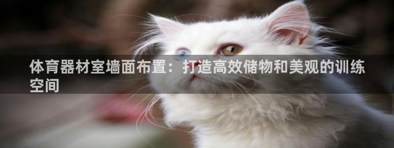 富联娱乐会员账号怎么注销：体育器材室墙面布置：打造高