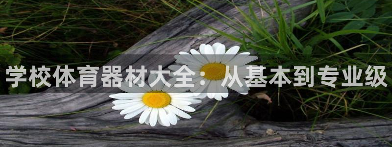 富联娱乐登陆：学校体育器材大全：从基本到专业级