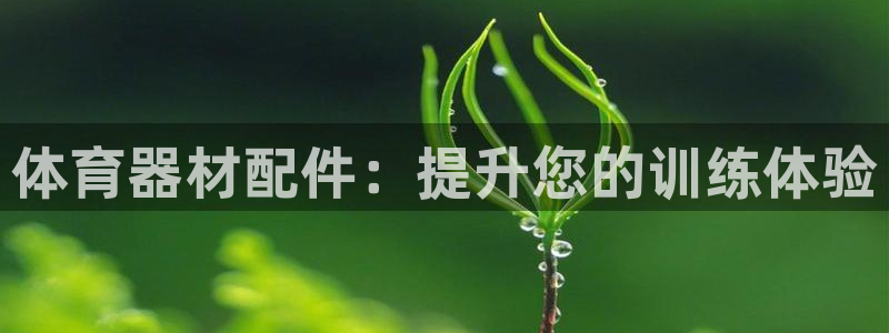 富联平台孩7O777：体育器材配件：提升您的训练体验