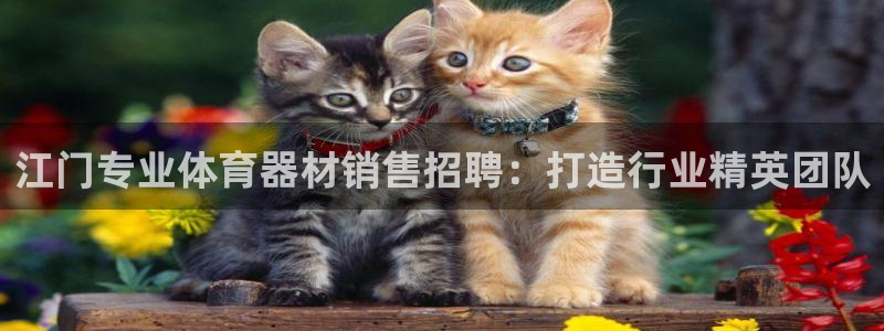 富联平台七7O777：江门专业体育器材销售招聘：打造