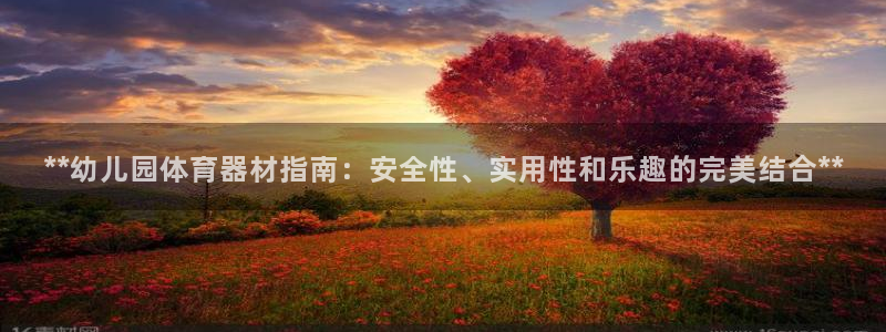 富联申购上市价格预测：**幼儿园体育器材指南：安全性