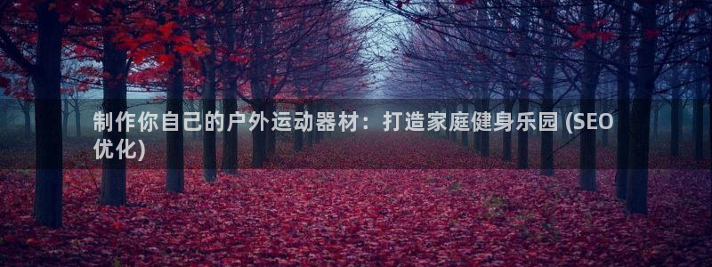 富联工坊：制作你自己的户外运动器材：打造家庭健身乐园