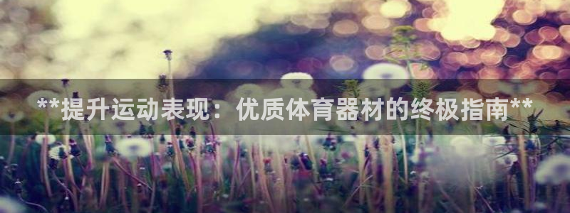 富联申购上市价格预测表：**提升运动表现：优质体育器