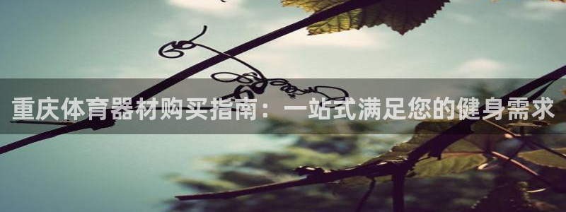 富联官方网站入口网址是什么：重庆体育器材购买指南：一