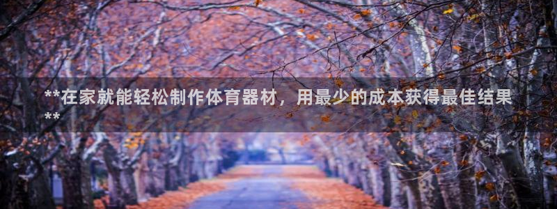 富联官网授权：**在家就能轻松制作体育器材，用最少的