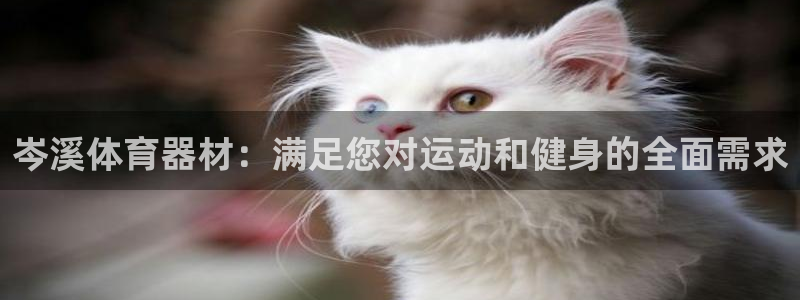 富联娱乐测速地址查询：岑溪体育器材：满足您对运动和健