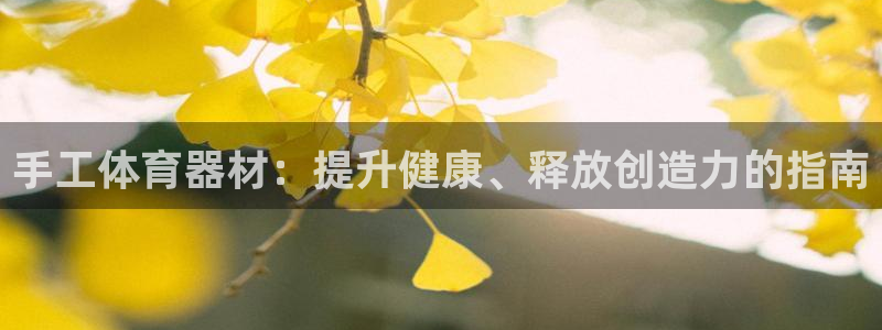 富联平台q665.786：手工体育器材：提升健康、释
