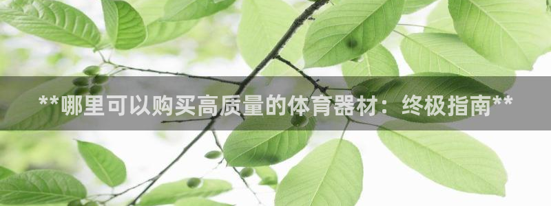 富联平台官网登录网址：**哪里可以购买高质量的体育器