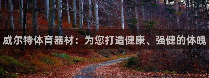 富联地产怎么样知乎：威尔特体育器材：为您打造健康、强