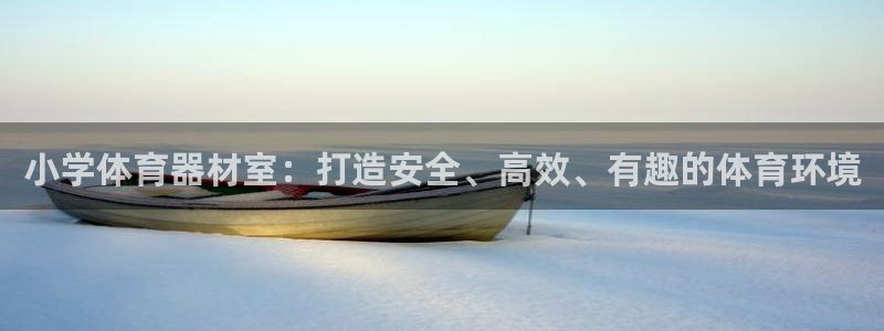 富联化工：小学体育器材室：打造安全、高效、有趣的体育