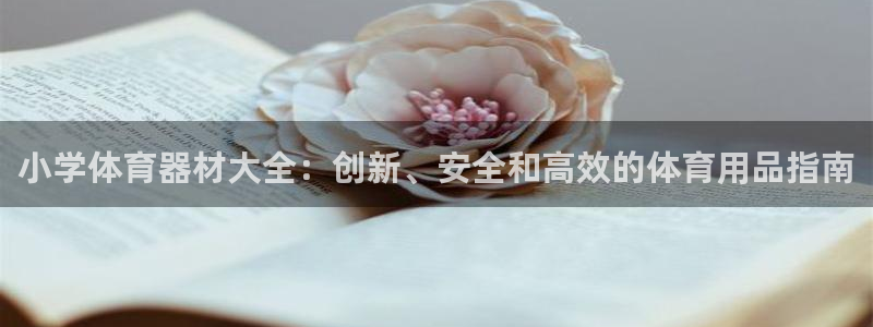 富联平台先选 58534I 富联：小学体育器材大全：