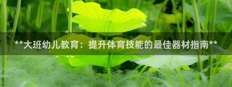 富联官方网站首页入口：**大班幼儿教育：提升体育技能