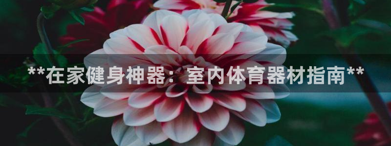 富联娱乐下载：**在家健身神器：室内体育器材指南**