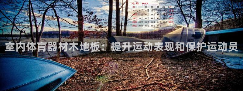 富联娱乐乙6.7.5.1.3.8：室内体育器材木地板