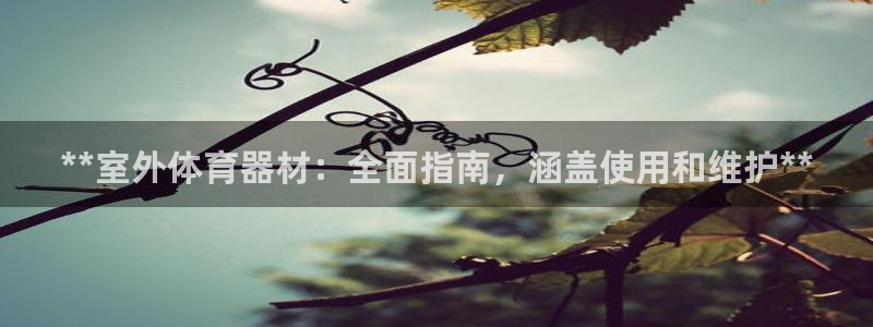 富联娱乐口 411O31 娱乐：**室外体育器材：全