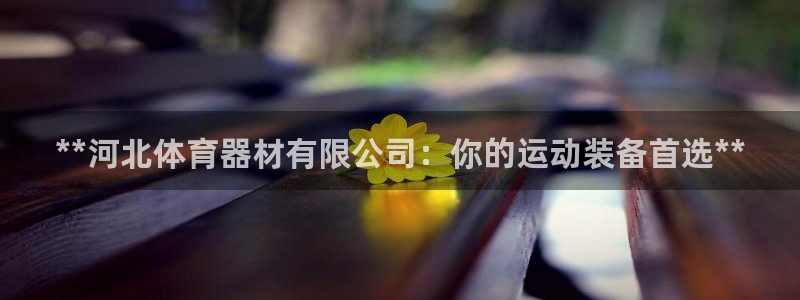 富联娱乐客户端app下载服务：**河北体育器材有限公