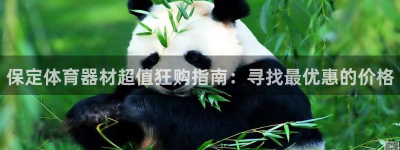 富联娱乐服务站：保定体育器材超值狂购指南：寻找最优惠