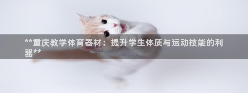香港富联集团：**重庆教学体育器材：提升学生体质与运