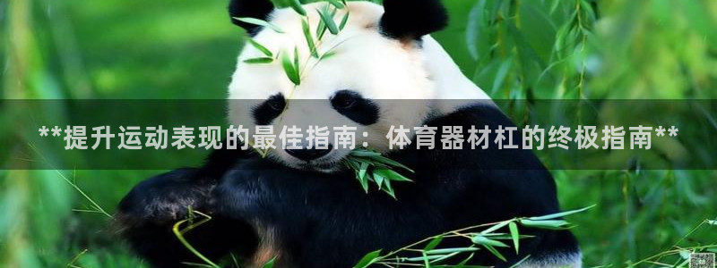 富联平台主管代理：**提升运动表现的最佳指南：体育器