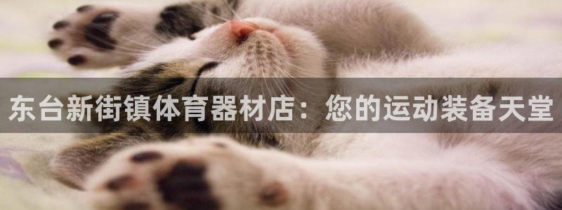 富联平台是什么平台：东台新街镇体育器材店：您的运动装