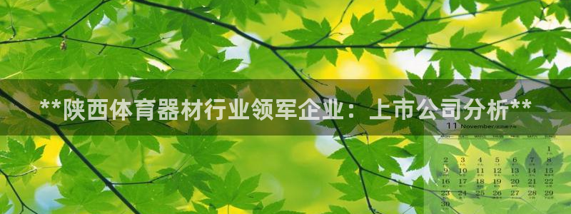 富联娱乐客户端app下载服务器：**陕西体育器材行业