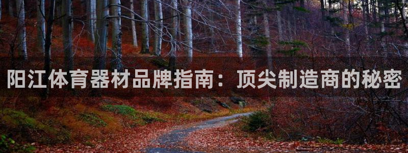 富联平台合 58534I 平台：阳江体育器材品牌指南