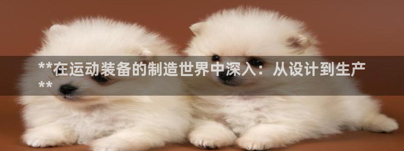富联股份股票：**在运动装备的制造世界中深入：从设计