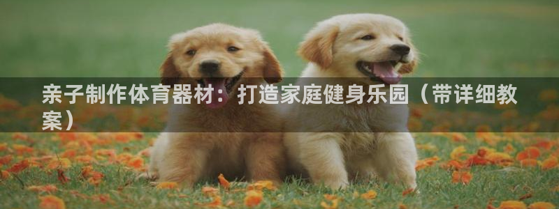 富联平台是什么：亲子制作体育器材：打造家庭健身乐园（