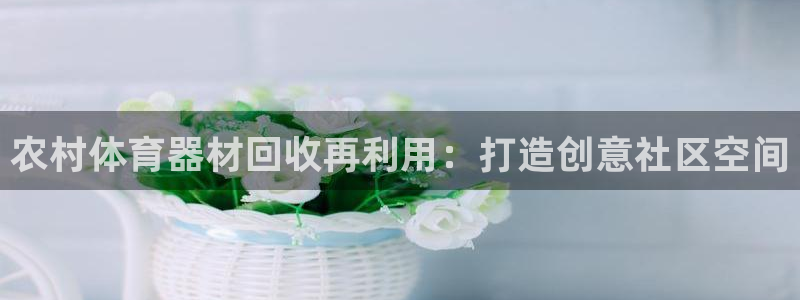 富联娱乐戚少风：农村体育器材回收再利用：打造创意社区