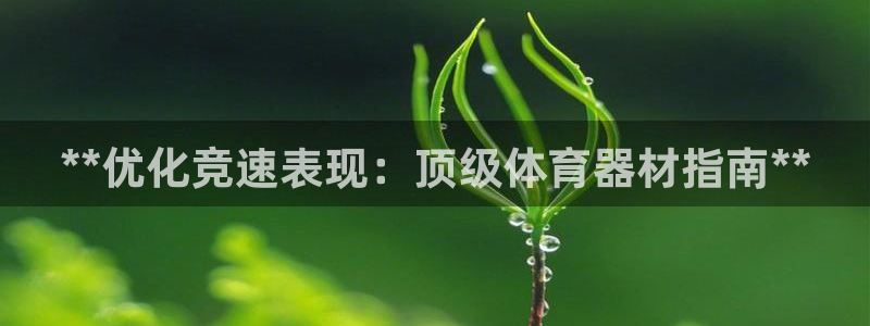 富联娱乐待 411o31 娱乐：**优化竞速表现：顶