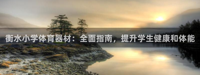 富联娱乐玩法机制：衡水小学体育器材：全面指南，提升学