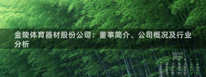 富联平台开户：金陵体育器材股份公司：董事简介、公司概