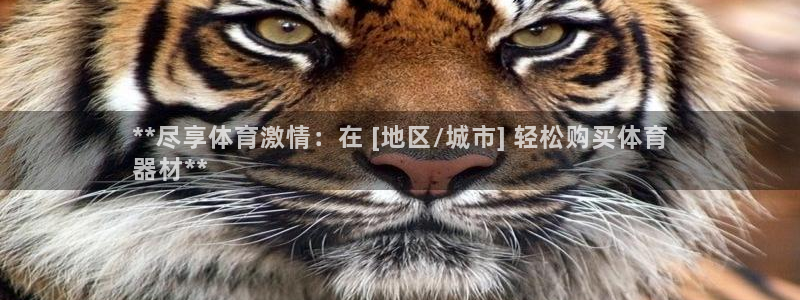 富联平台主管：**尽享体育激情：在 [地区/城市] 