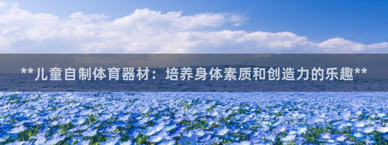 富联官方网站下载安装：**儿童自制体育器材：培养身体