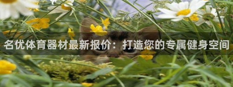 富联官方网站下载安装最新版：名优体育器材最新报价：打